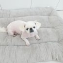 어서왈왈 이미지