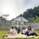 스테이댕댕