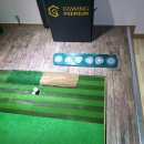 문스크린골프 이미지