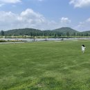 부여막국수 이미지