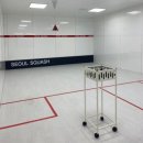[잠실] 젊은 사람들끼리 다이어트, 단체 운동하기 너무 좋은 잠실 스쿼시 지점 '서울스쿼시'