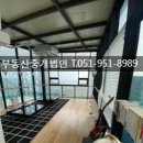 코끼리민박 이미지