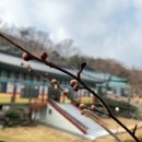 굴지농원 이미지