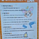 렉스디테일 | 제주애견카페 도그렉스🐶 우리 아이가 가장 좋아한 힐링 장소