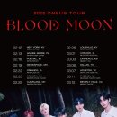 투어 문(TOUR MOON) 스타투데이