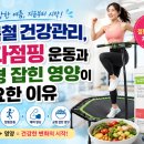 영양핑다이어트