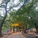 용전숲 공중화장실 이미지