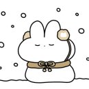 토라프로모션