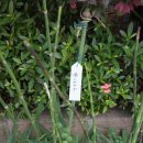 판판포포 | 12박 13일의 도쿄 (2)