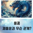 용 이미지