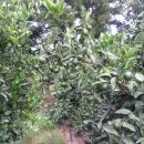 샘물농장 이미지