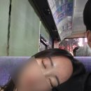 휴엔조이 | 후르츠산도, 일 포르노델, 이모야 킨지로, 이토엔, 오호리 공원, 캐널시티, 엔조이 테판, 야키토리 토키야)