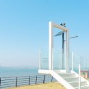 늠내길5코스 정왕둘레길 | [경기도 시흥시] 벅스리움