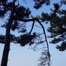 한섬감성바닷길 이미지