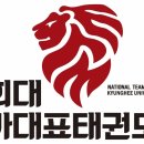 경희대 국가대표 태권도장 이미지
