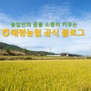 해평농협도개지점 이미지