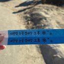 달뜨는마을 | 평창 '대관령 눈꽃마을 눈썰매장' 취소표 구매해 다녀온 후기 아이부터 어른까지 놀 수 있는 봅슬레이...