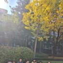 먼마루어린이공원 이미지