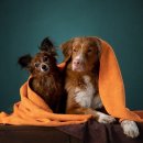 그루밍샵 이미지