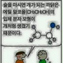 꿈보다 해몽 이미지