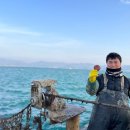 가리비세상 이미지