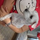 남촌초등학교 이미지