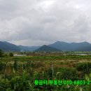 황금터부동산중개사무소 이미지