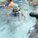 용인대호수태권도장