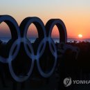 태양연합치과 연합뉴스
