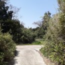 동광리-1 이미지