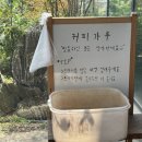 원산저수지 | 시흥 물왕저수지 대형 베이커리 카페 빛담 내돈내산 솔직후기(ft.주차)