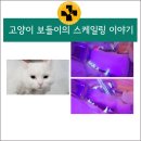 해운대플러스동물병원 이미지