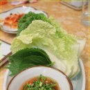 고미참치 Daum카페