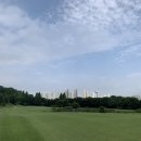 프로필드 이미지