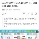 길고양이 만졌다 병걸린 40대 여성 결국 사망 이미지