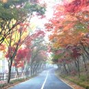 (주)천일오토모빌 이미지