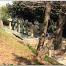 정발장군 동상 Daum카페