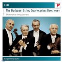 베토벤, 현악 4중주 16번 F장조 op.135 (Beethoven - String Quartet No.16 in F Major, Op.135) / 문학수 이미지