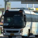 와이드대성 이미지