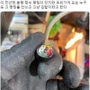 김밥주세요 네이버블로그