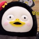 젊음의거리 이미지