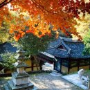 경충대로 2709번길 2 이미지