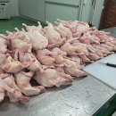 진도생선마을 이미지