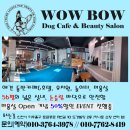 와우코퍼레이션