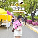 2 | 강원도 축제 5월 청춘양구 곰취축제 기본정보 볼거리 먹거리 후기