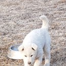 우혈도 네이버블로그