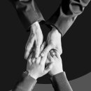 TI FITNESS 이미지