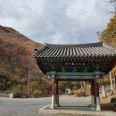 중앙가마솥왕족발 이미지