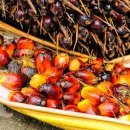 에이스팜 이미지