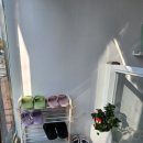 멍멍이네미용실 이미지